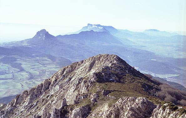 Mendebaldeko tontorrak