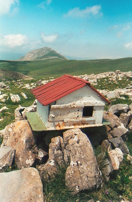 Inguruko tontor baten buzoia