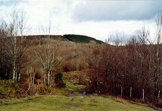 Hegoaldeko isurialdea