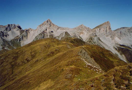 Acheritora bitarteko lepoa