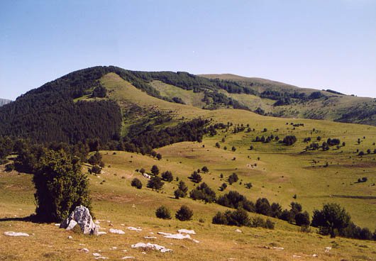 Hegoaldeko isurialdea