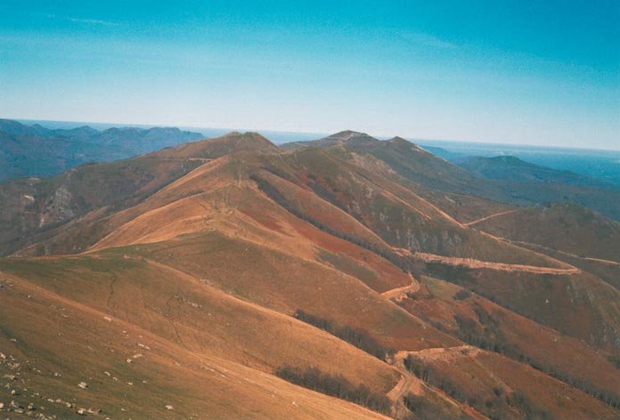 Iparraldeko gandor luzea