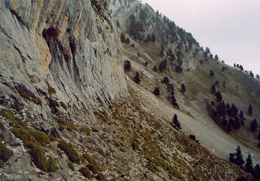 Igoerako pasarte bat