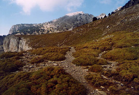 Igoerako pasarte bat