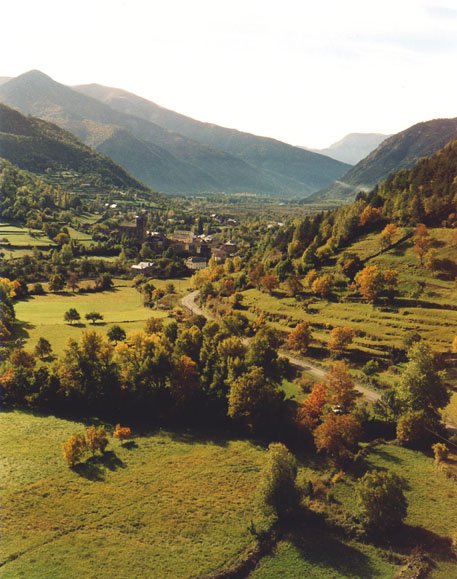 Brotoko bailara, Ordesako sarreran