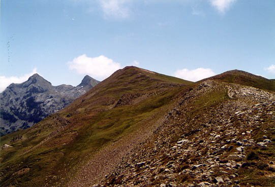Tontorra mendebaldeko gandorretik