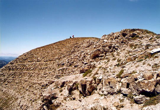 Tontorra iparrekialdetik