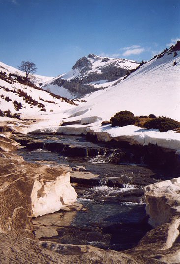 Aguerriko sakanako erreka