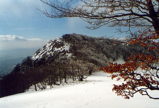 Agiñetako lepoa, Man