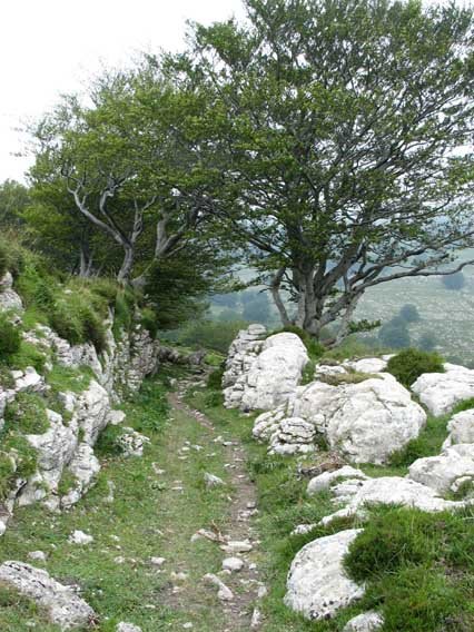 Tontorrerako bidea mendebaldetik