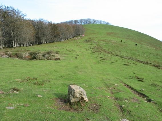 Gain aldeko ikuspegia, M.tik