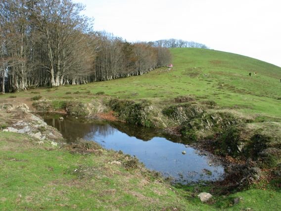 Tontorra M.ko hegitik