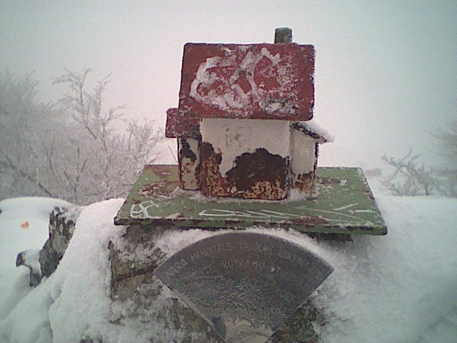 Buzoia