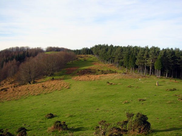 Tontor inguruko larre eta basoak