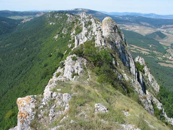 Mendebaldeko ikuspegia