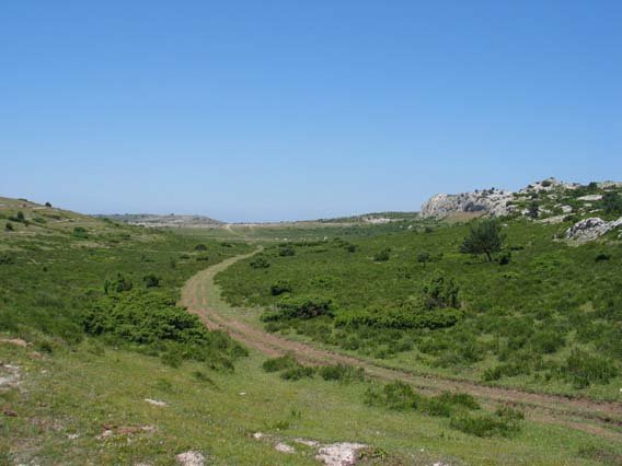 Melaniako portutik datorren bidea