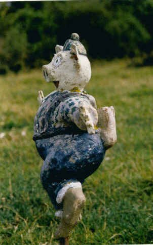 Buzoia