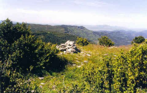 Tontorra