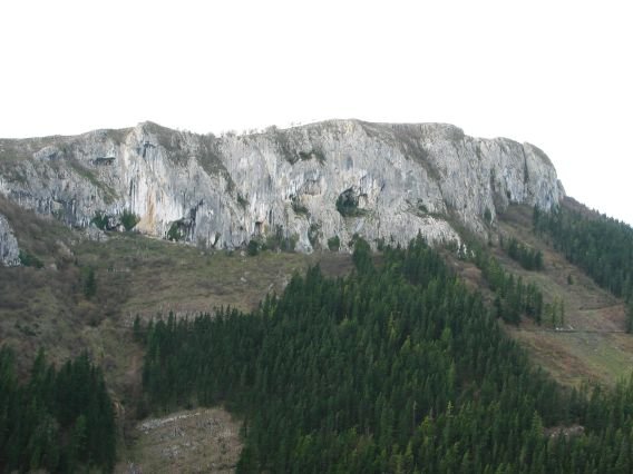 IEko isurialdea, Araozko errepidetik