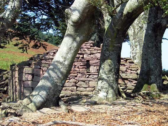 Meateko lepoan dagoen bordaren hondakinak