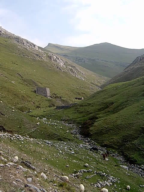 Arritzaga Haranako Minak