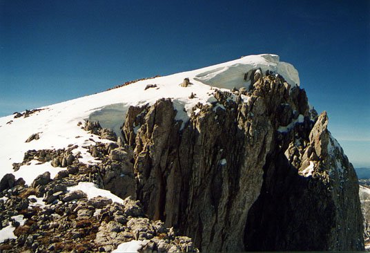 Espelungaren tontorra