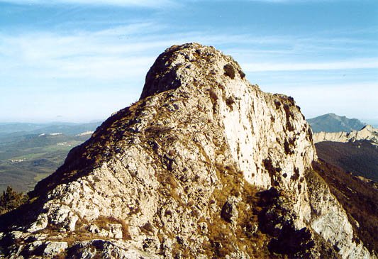 Mendebaldeko gandorraren pasarte bat