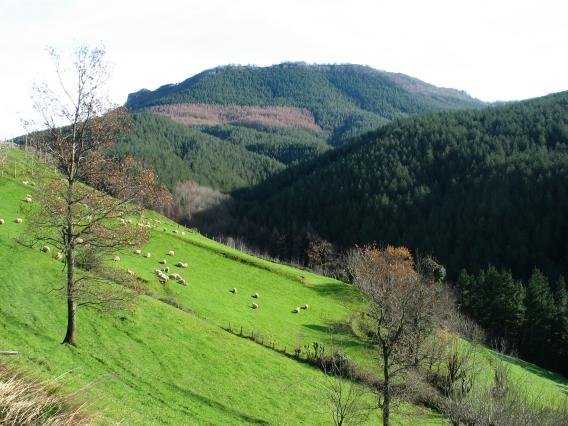 Ataun aldeko Aitzarteko bailaratik