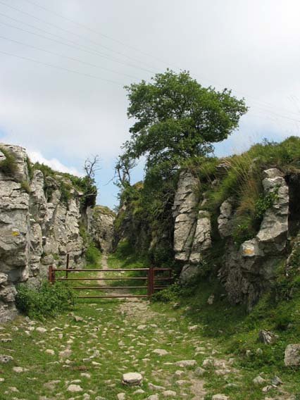 Urduña aldeko bidea goiko lepora heltzean