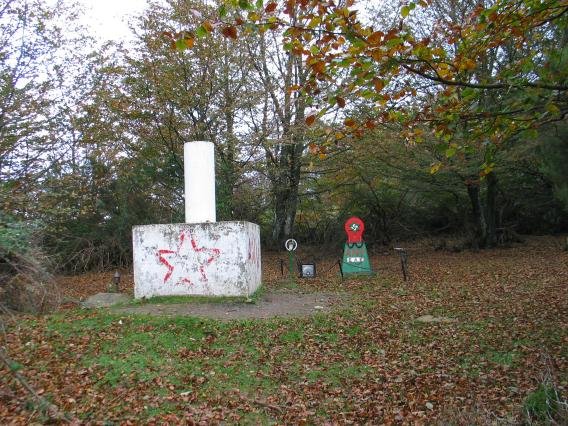 Tontorra baso artean