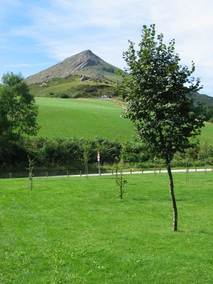 Lizarmeakako parketik ikusita