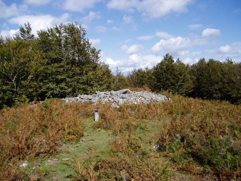 Arrobigaña trikuharria