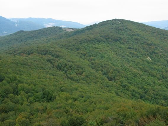 Mendurro Arriaunditik