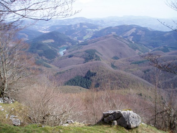 Barrendiola urtegia eta inguruko basoak