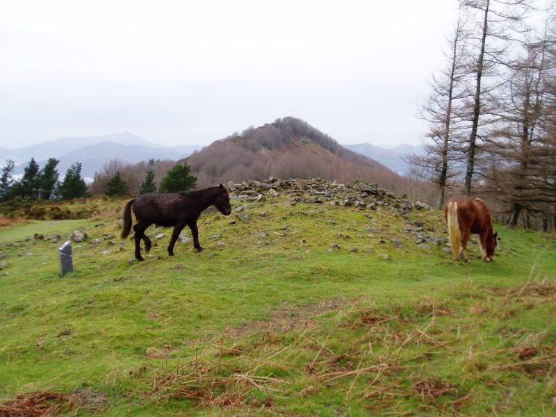 Naasiko Goena tumuloa eta Atxolin hego-ekialdetik ikusita