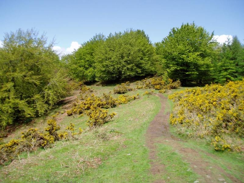 Kortazar-Irukurutzeta bidea Pagobedeinkatu inguruan