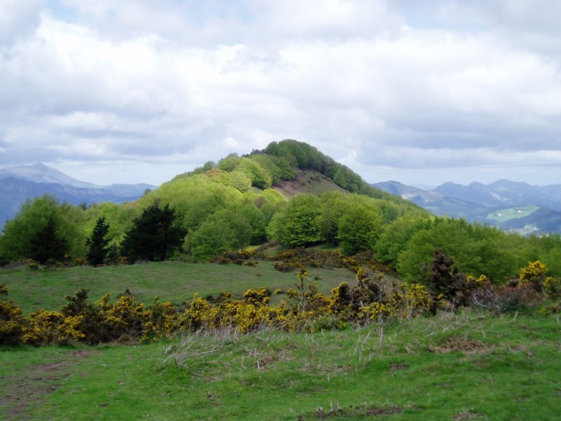 Nahasiko Goenatik ikusita