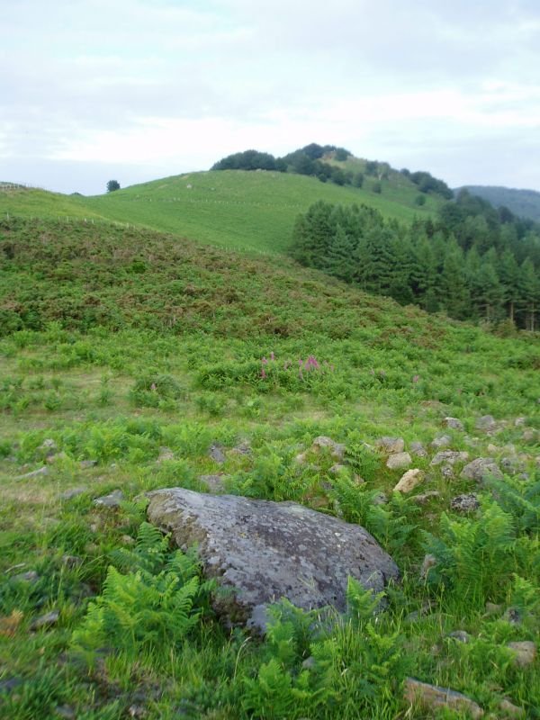 Iruiako trikuharria eta Atxolin