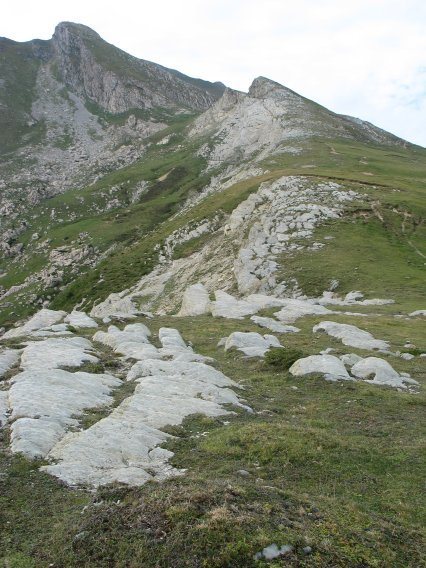 Kartxelara lotzen duen gandorra