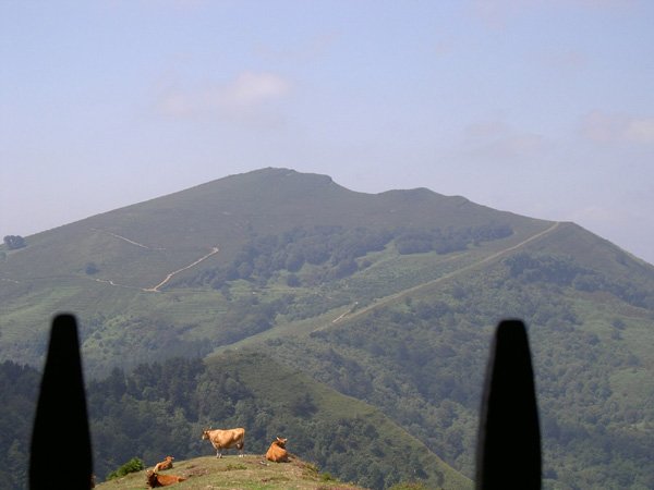 Burgueño desde Kolitza