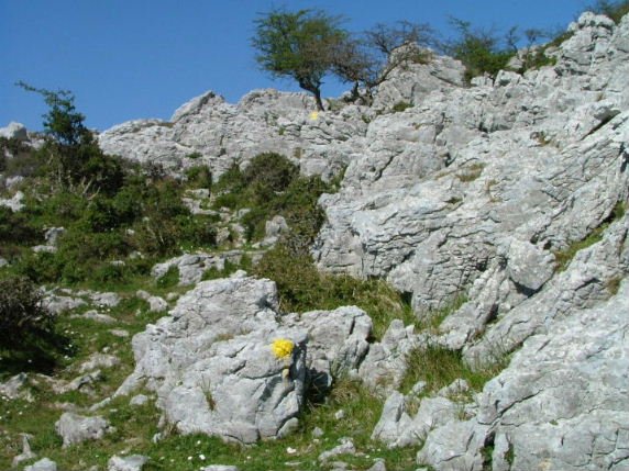 MARCAS A SEGUIR EN EL ?LTIMO TRAMO