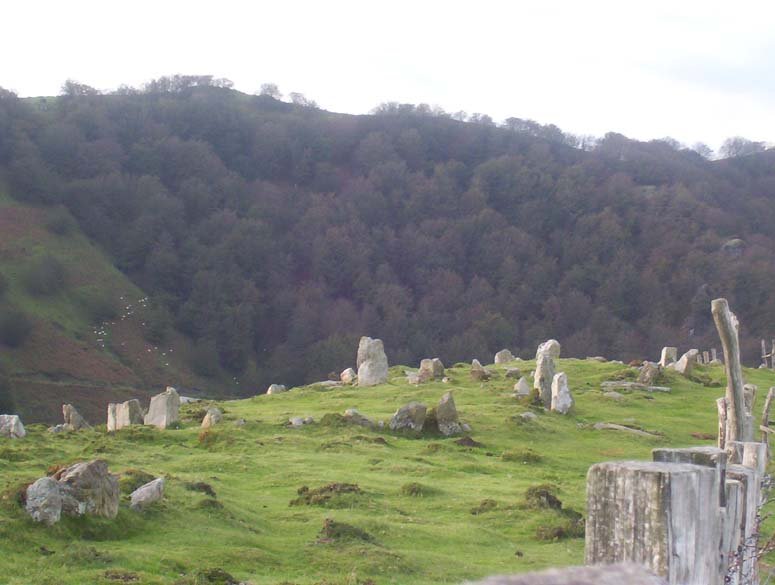 Erengako Mairubaratza