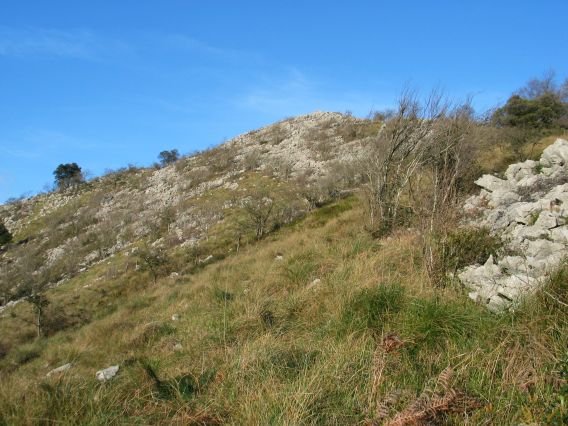 Hegoaldeko isurialdea