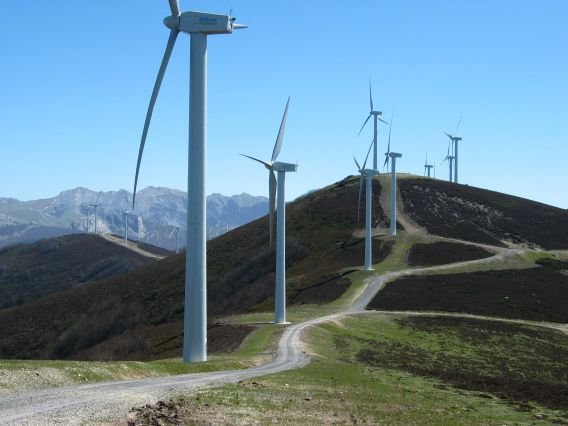 Tontorra Mtik ikusita, errota artean