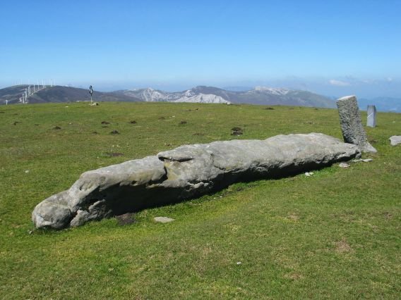 Zutarria etzanda, Sekillaga gainean