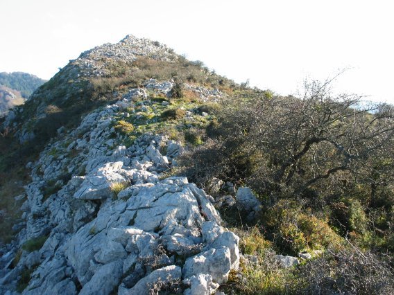 Tontorra mendebaldetik