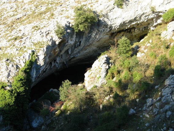 Beheko leizearen sarrera