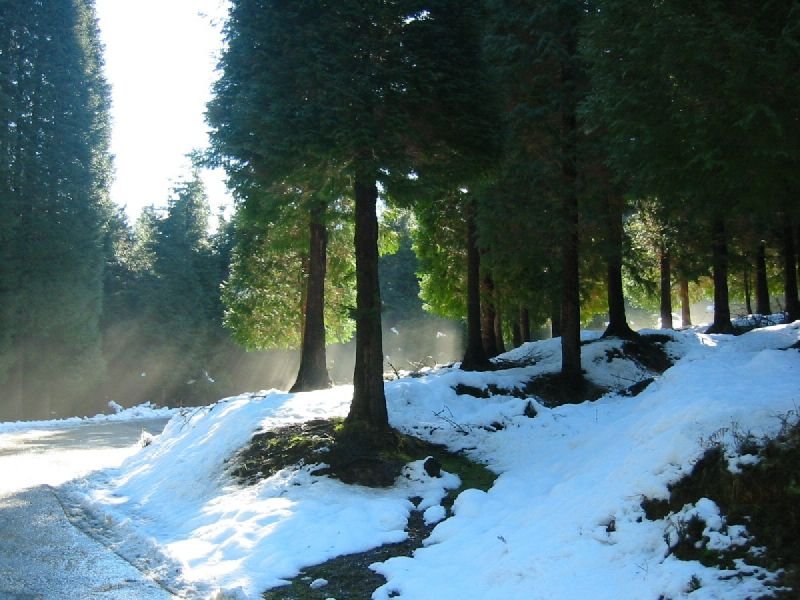 Saldropotik Gorbeira