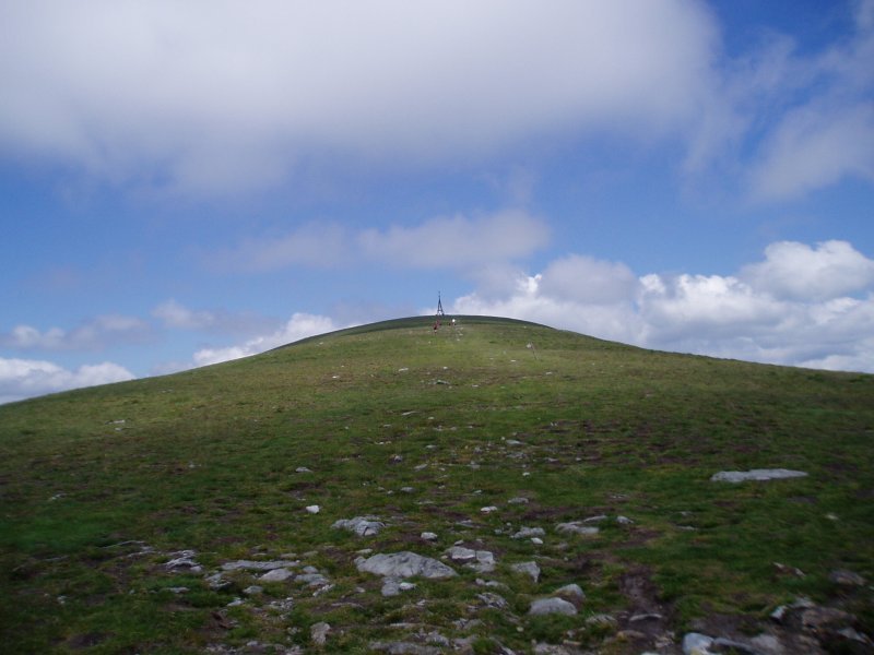Tontorra hego-ekialdetik