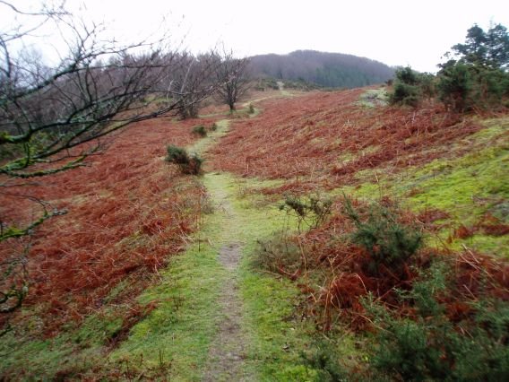 Kortazar-Irukurutzeta bidea, Pagobedeindatu eta Nahasiko Goena artean